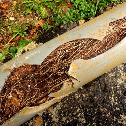 The Drain & Sewer Professionals In Wynn Vale